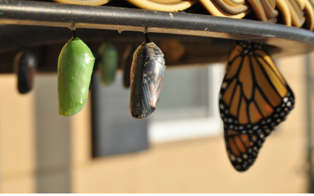 The 1 July changes that could impact your business