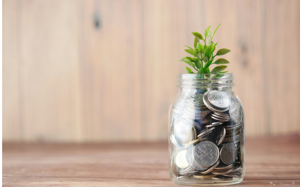Dividend versus growth investing – which option suits you? Dividend versus growth investing – which option suits you?